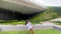 create amazing dance to your song