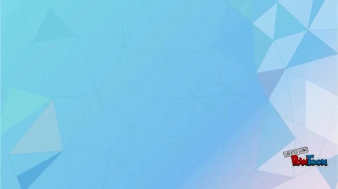 build professional wordpress website