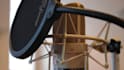 record a professional voice over in romanian
