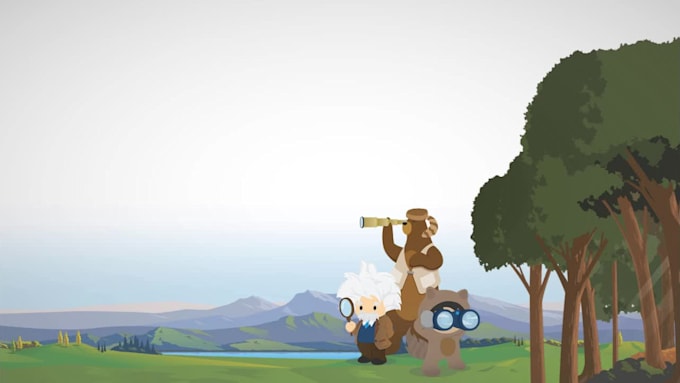 be your salesforce CRM admin, developer, and consultant
