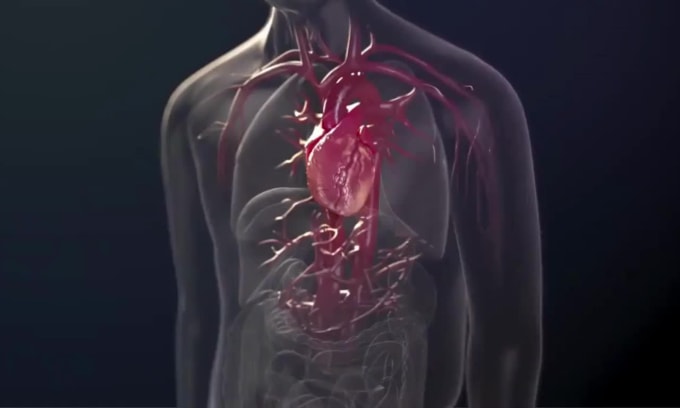 Create high realistic 3d medical, surgery animation with high graphics ...