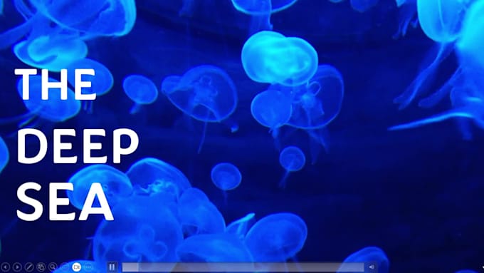 do the most animated and lively powerpoint presentation
