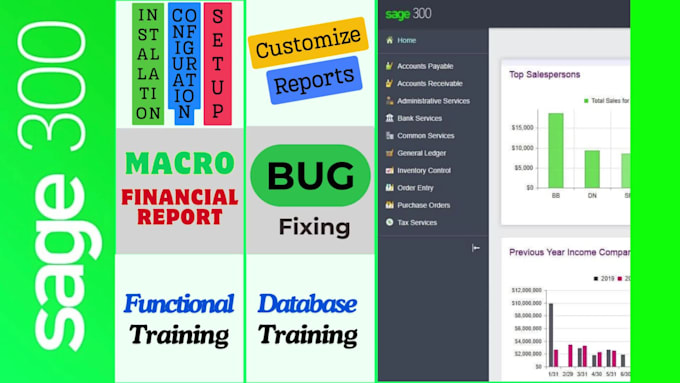 provide sage 300 configuration, support, integrations, custom reporting service
