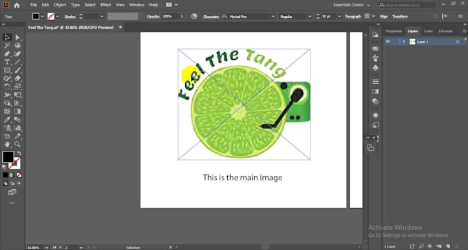 offer vector tracing service