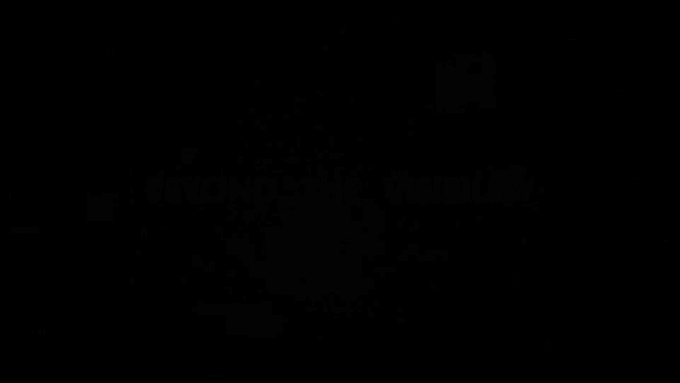 design epic documentary video professionally with voice over
