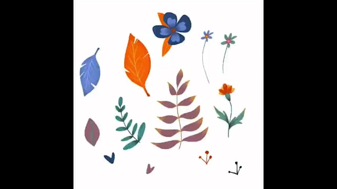 create illustrations and surface designs