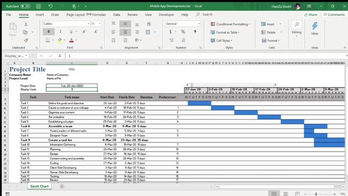 Create a gantt chart and project plan with microsoft project or excel ...