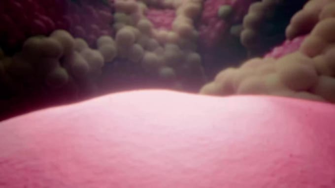 make medical 3d aniamtion