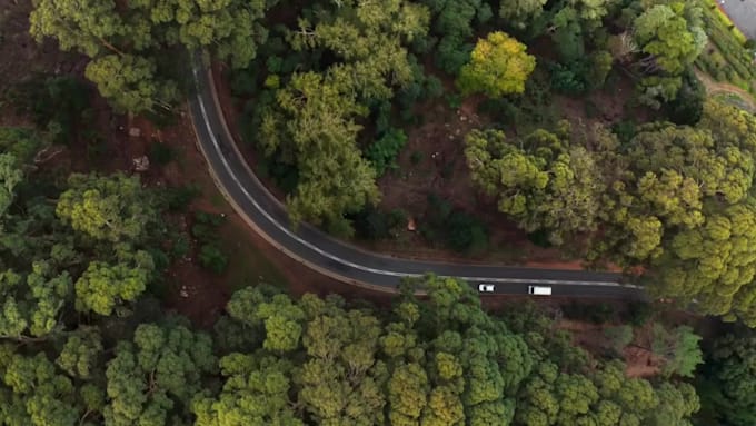 edit engaging promo videos, video ads, reels and short form content