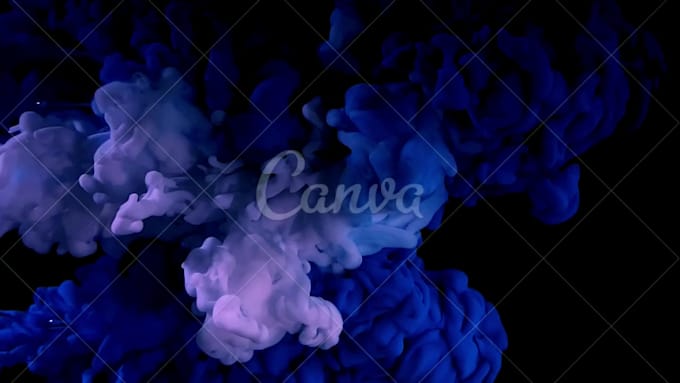provide you canva designing services