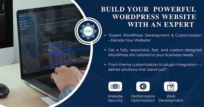 do professional wordpress website development and customization