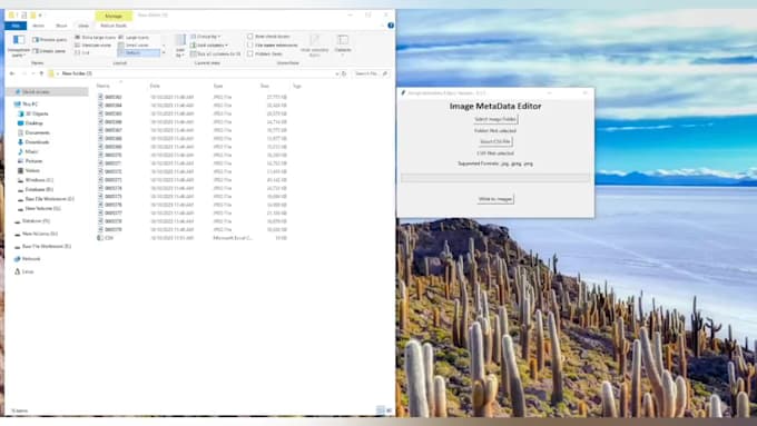 build app to write image metadata from CSV automatically
