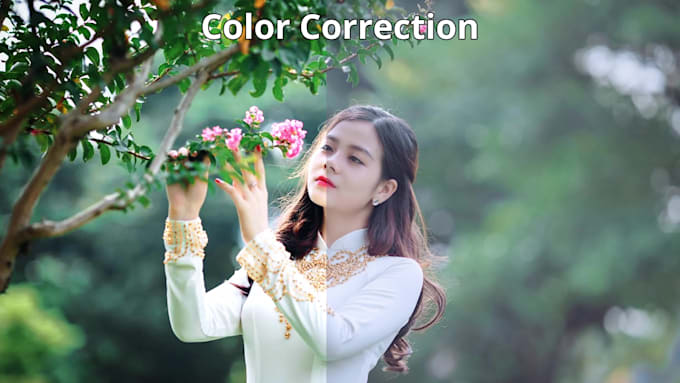 edit your videos professional editing and color grading