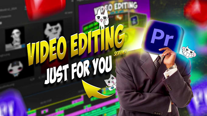 edit the video professionally just for you