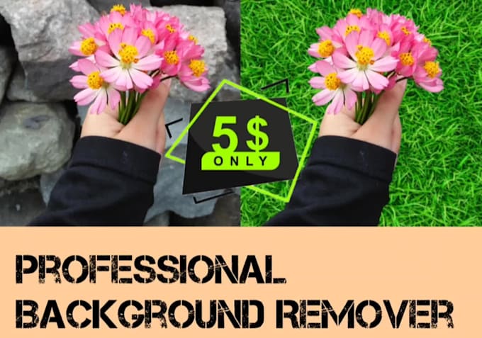 provide high quality background removal