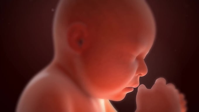 create professional 3d medical animation