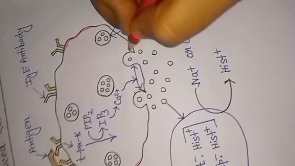 handwrite scientific and others note assignment project