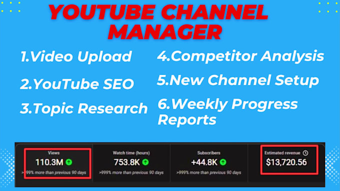 be your expert youtube channel manager