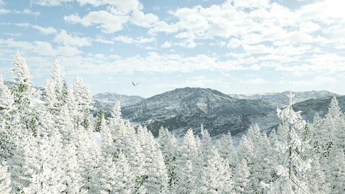 create a beautiful nature based video