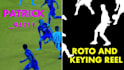 do professional like ai rotoscoping, green screen remove, keying, wire removal
