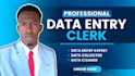 be your data entry expert, data collector, and data cleaner