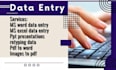 be your virtual assistant for data entry at msword,excel,ppt
