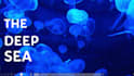 do the most animated and lively powerpoint presentation
