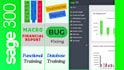 provide sage 300 configuration, support, integrations, custom reporting service