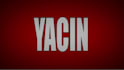 do professional video editing and vfx