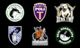 design a modern sport team logo