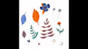 create illustrations and surface designs