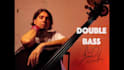 record pro bass guitar or double bass