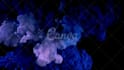 provide you canva designing services