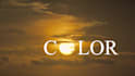 professional video color grading and color correction