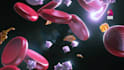 create high end 3d medical animation