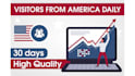 bring USA organic web traffic
