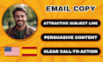 write professional email copy for you