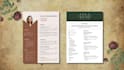 create and design professional resume,CV ,cover letter