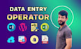 do copy paste, data entry, excel website scraping job