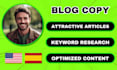 write professional blog copy, articles, and website content