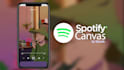 create hand drawn loop animation for spotify canvas