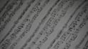 write amazing and detailed guitar or bass tabs