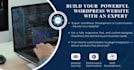 do professional wordpress website development and customization