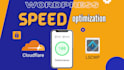 speed up wordpress using litespeed cache plugin and cloudflare CDN best settings