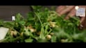 design fully customizable promotional video
