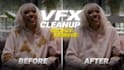 do vfx cleanup, replacement, and object removal for video
