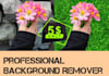provide high quality background removal