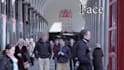 blur out or hide face , text and logo anything in video image