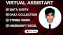 do data entry, data mining, data collection, copy paste