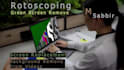 do vfx, rotoscoping, chroma keying, screen replacement, roto
